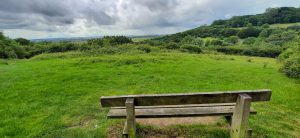 Hadleigh_Country_Park