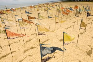 Beach of Dreams