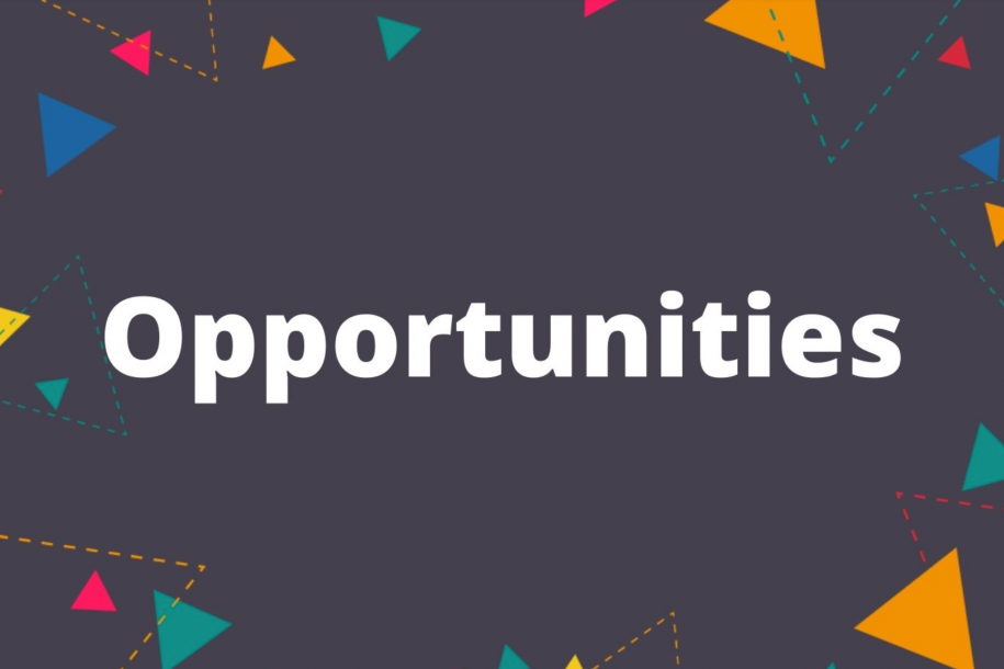 Culture Chelmsford Opportunities 3x2