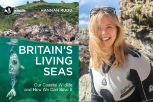 Cover image of Britain's Living Seas book alongside photo of author, Hannah Rudd